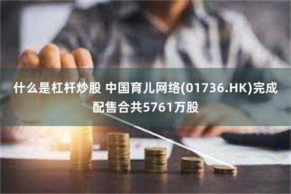 什么是杠杆炒股 中国育儿网络(01736.HK)完成配售合共5761万股