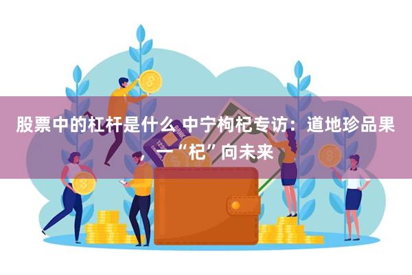 股票中的杠杆是什么 中宁枸杞专访：道地珍品果，一“杞”向未来