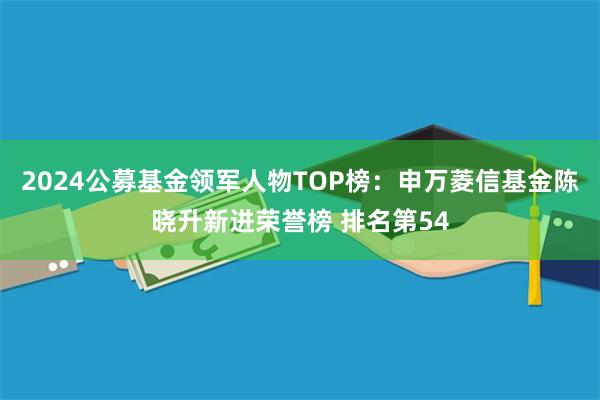 2024公募基金领军人物TOP榜：申万菱信基金陈晓升新进荣誉榜 排名第54