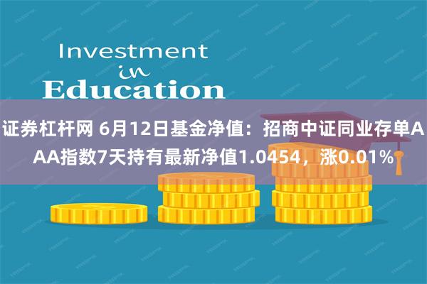 证券杠杆网 6月12日基金净值：招商中证同业存单AAA指数7天持有最新净值1.0454，涨0.01%