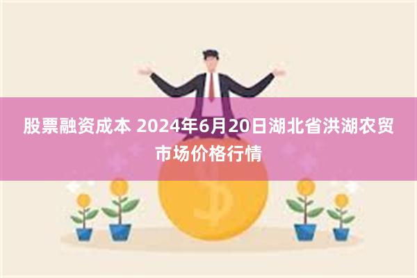 股票融资成本 2024年6月20日湖北省洪湖农贸市场价格行情