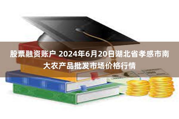 股票融资账户 2024年6月20日湖北省孝感市南大农产品批发市场价格行情