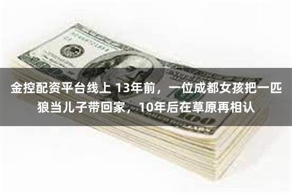 金控配资平台线上 13年前，一位成都女孩把一匹狼当儿子带回家，10年后在草原再相认