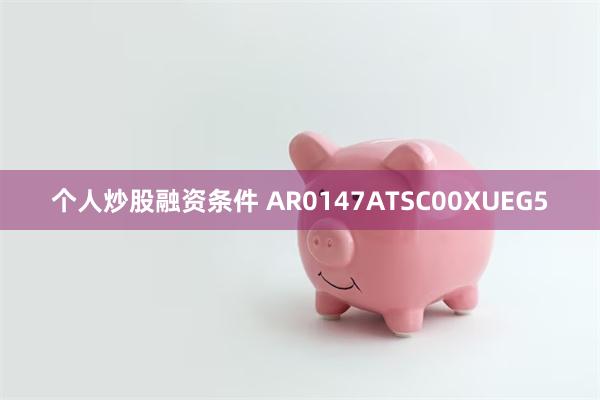 个人炒股融资条件 AR0147ATSC00XUEG5