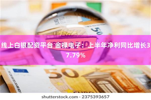 线上白银配资平台 金禄电子：上半年净利同比增长37.79%