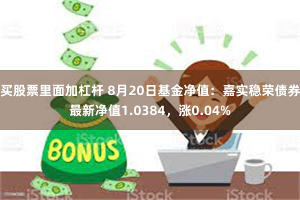 买股票里面加杠杆 8月20日基金净值：嘉实稳荣债券最新净值1.0384，涨0.04%