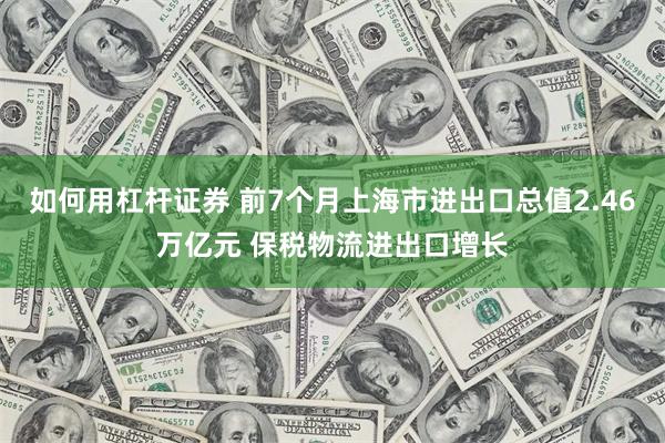 如何用杠杆证券 前7个月上海市进出口总值2.46万亿元 保税物流进出口增长