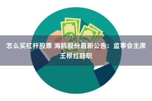 怎么买杠杆股票 海鸥股份最新公告：监事会主席王根红辞职