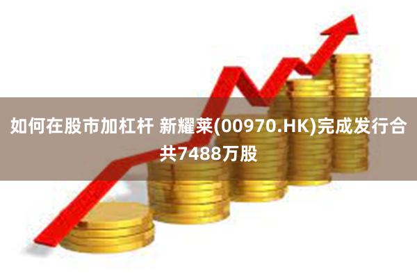 如何在股市加杠杆 新耀莱(00970.HK)完成发行合共7488万股