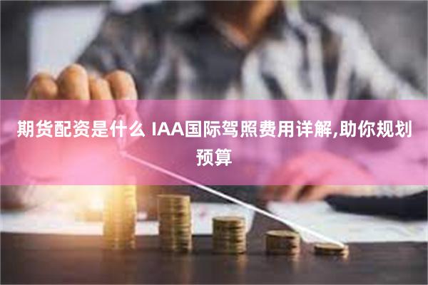 期货配资是什么 IAA国际驾照费用详解,助你规划预算