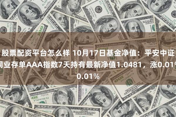 股票配资平台怎么样 10月17日基金净值：平安中证同业存单AAA指数7天持有最新净值1.0481，涨0.01%