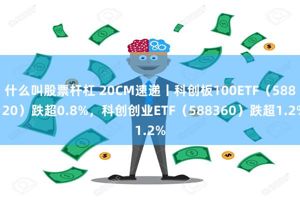 什么叫股票杆杠 20CM速递丨科创板100ETF（588120）跌超0.8%，科创创业ETF（588360）跌超1.2%