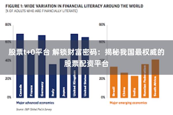 股票t+0平台 解锁财富密码：揭秘我国最权威的股票配资平台