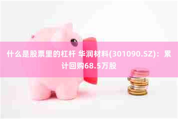 什么是股票里的杠杆 华润材料(301090.SZ)：累计回购68.5万股