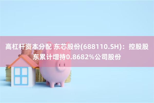 高杠杆资本分配 东芯股份(688110.SH)：控股股东累计增持0.8682%公司股份