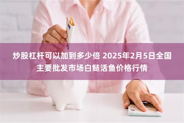 炒股杠杆可以加到多少倍 2025年2月5日全国主要批发市场白鲢活鱼价格行情